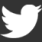 Logo do twitter
